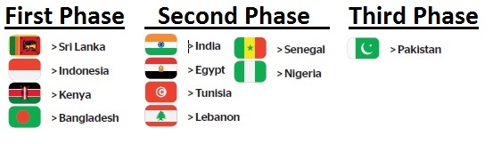 UAE work visa phases